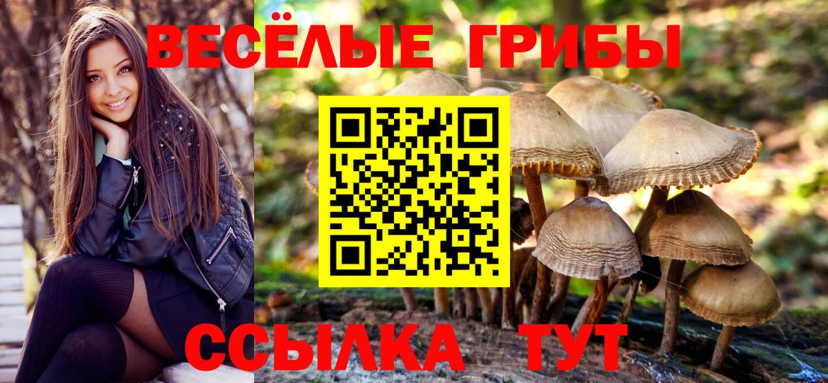 Знаменск  Псилоцибиновые грибы ЛСД  что такое   Вход с VPN 